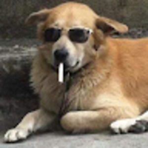 Meet your Posher, Adia